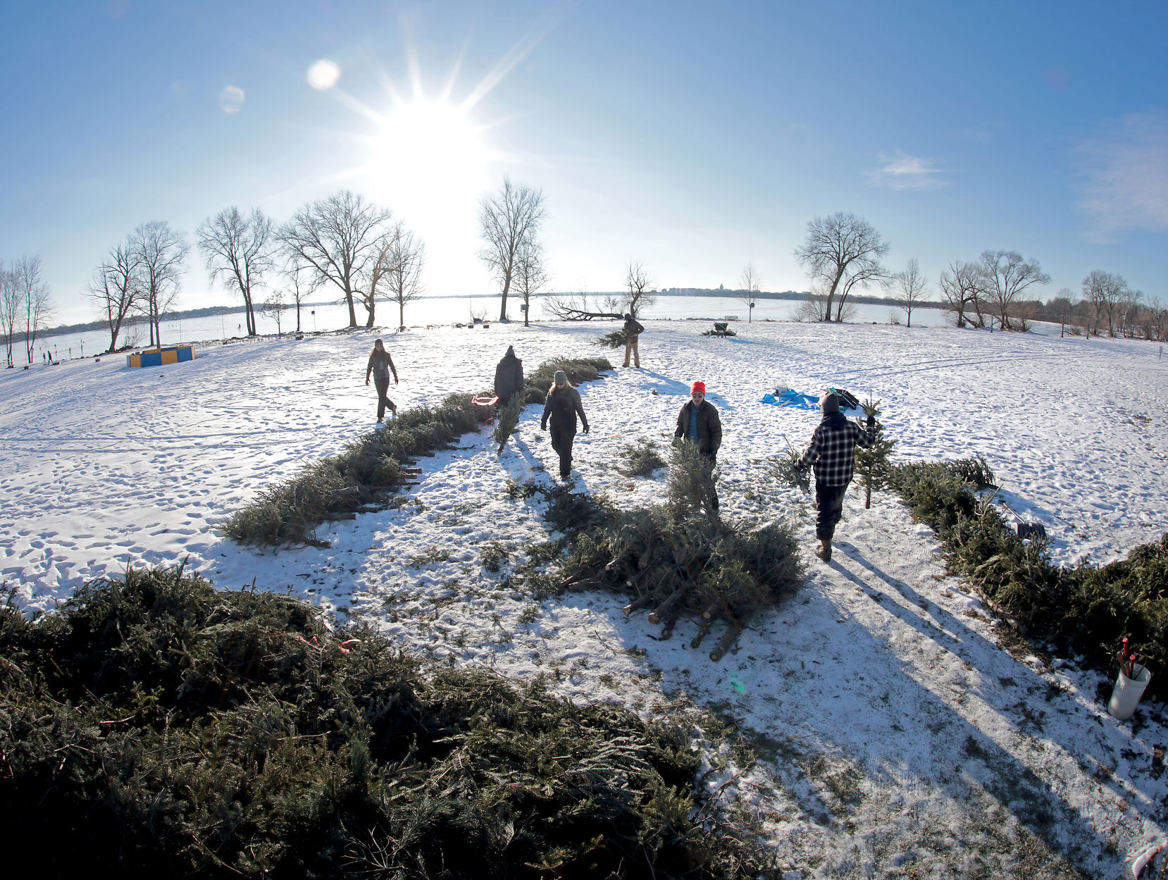 “How Lovely Are Thy Branches” at Olbrich Park